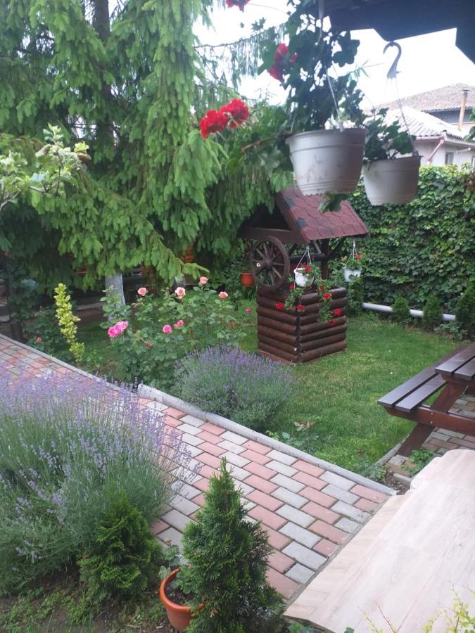 Appartement Casa Mola à Mangalia Extérieur photo