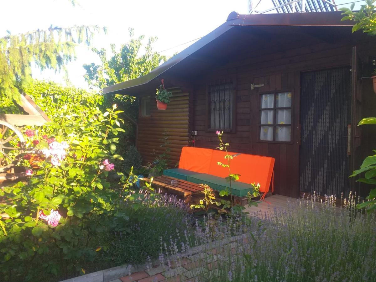 Appartement Casa Mola à Mangalia Extérieur photo